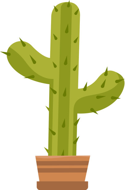 仙人掌区系组成平坦图片下载