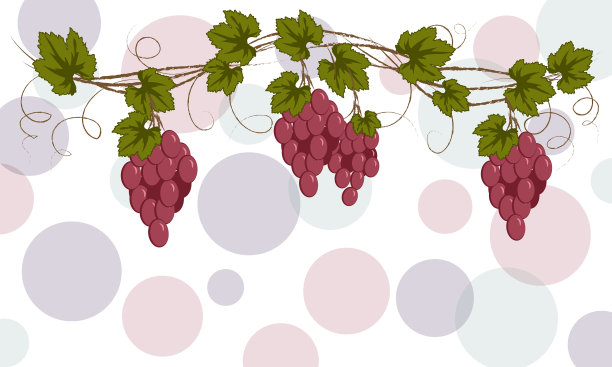 加兰勃艮第葡萄标签菜单图片下载