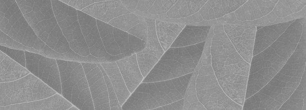 抽象的白色室内突出未来。图片下载