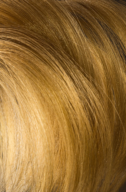 抽象亮丽的卷发造型，时尚的背景质感图片下载