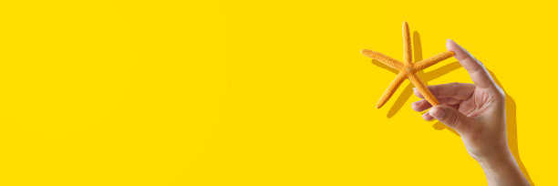 黄色背景上的女性手牵着黄色海星。夏天的休息时间图片下载