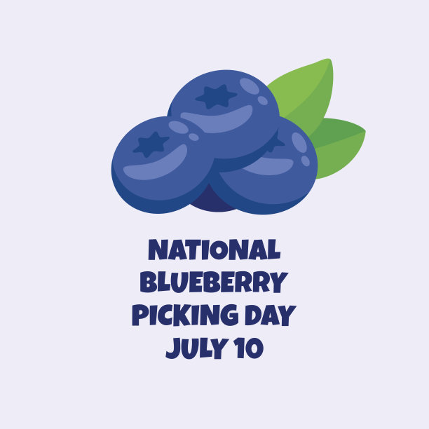 国家蓝莓采摘日向量图片下载