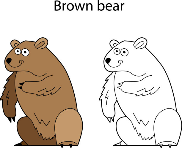 有趣可爱的动物棕熊孤立在白色图片下载