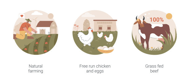 生态农业抽象概念载体插图。图片下载