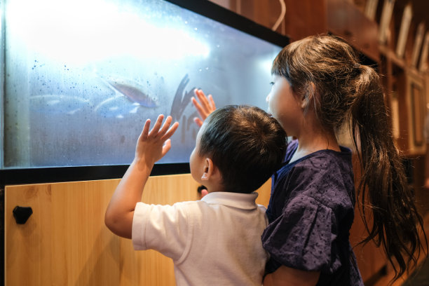 孩子们在看水箱里的鱼图片下载