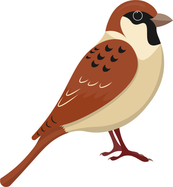 卡通可爱的麻雀图片下载