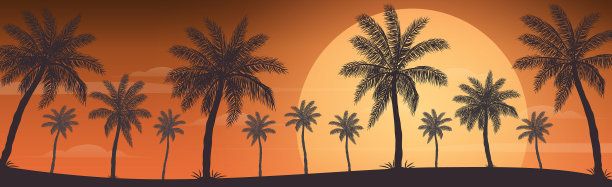 现实的海上日落在背景棕榈图片下载