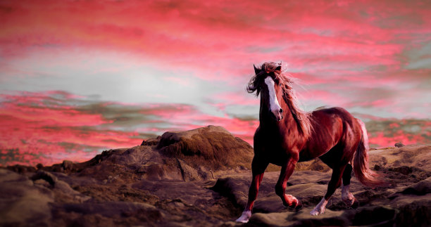 3d渲染插图的一匹马奔跑图片下载
