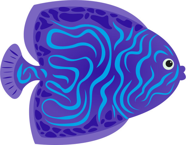 热带皇帝神仙鱼在白色的背景图片下载