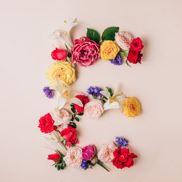 字母E由真正的天然花卉制成。花字体。夏天创意概念。前视图。平躺图片下载
