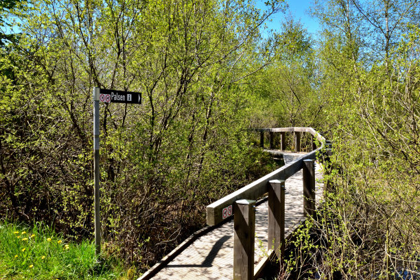 在High Fens图片下载