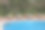 在一个带夹竹桃花的热带花园中，有游泳池和躺椅图片下载
