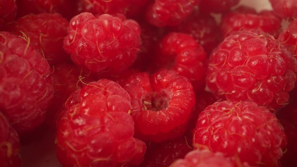 盆中的覆盆子。盆中的覆盆子特写图片下载