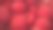 盆中的覆盆子。盆中的覆盆子特写图片下载