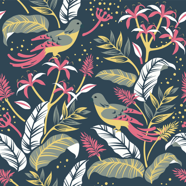 大自然中的鸟类设计图片下载