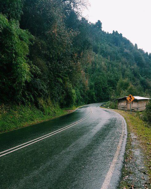 山上的路很湿图片下载