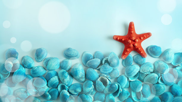 模糊的静止的夏天的海洋生活与红色的海星在蓝绿色的贝壳上图片下载