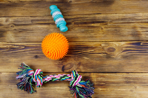木制背景上的狗的玩具。俯视图图片下载
