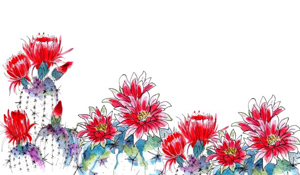 仙人掌花背景。水彩手绘插图图片下载