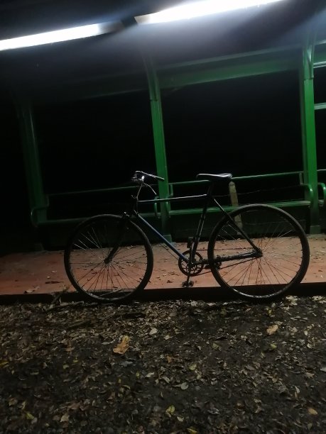 骑自行车外出图片下载