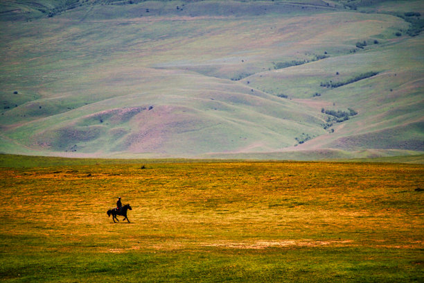 荒草中的孤独骑士图片下载