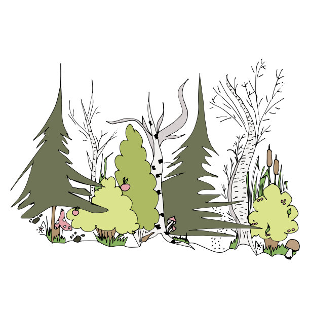 树木和灌木丛。云杉和桦树。这幅插图轮廓鲜明。森林景观与自然动机。图片下载