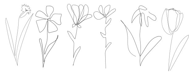 单线绘花集花图片下载