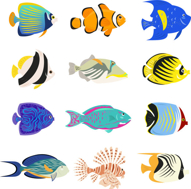 设置可爱的热带鱼在白色的背景图片下载