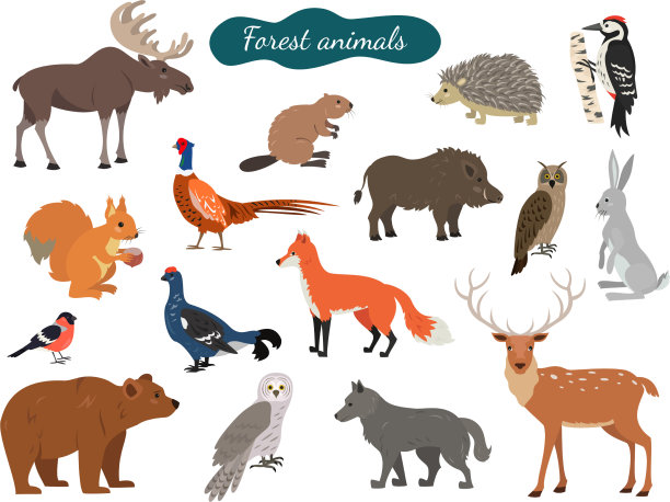 设置森林动物在白色背景图片下载