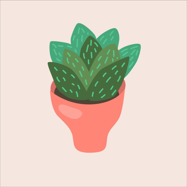 不同植物盆栽隔离说明图片下载