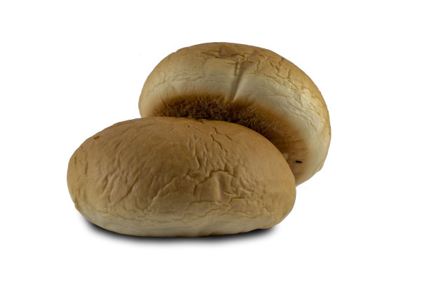 美丽的花，柠檬盛开的木槿花和柠檬花在宏观特写。花柠檬自然模糊背景。图片下载