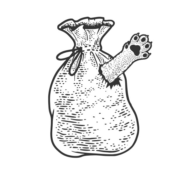 猫在袋素描图片下载