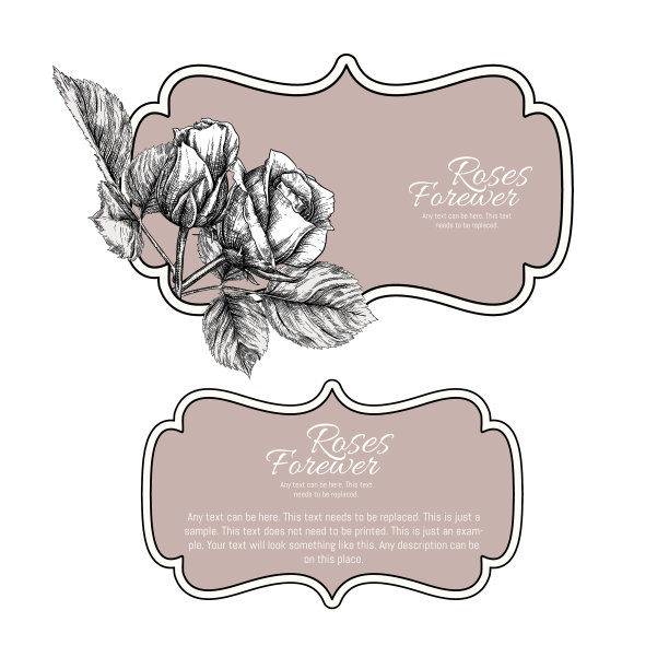 设置产品的正面和背面标签图片下载