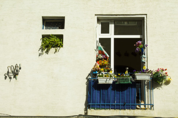 小窗户和阳台上有许多五颜六色的花和一只猫图片下载