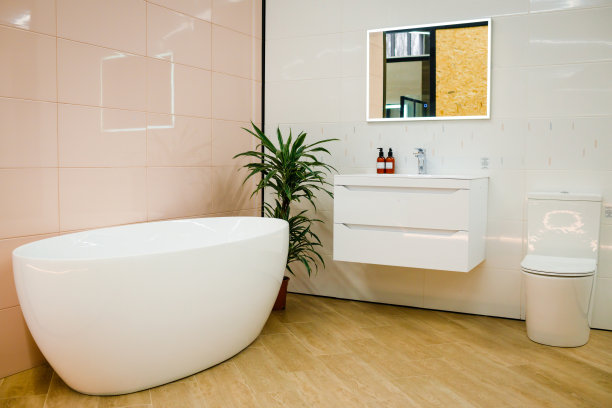 浴室内。浴室公寓或房子中供家庭使用的现代浴室图片下载