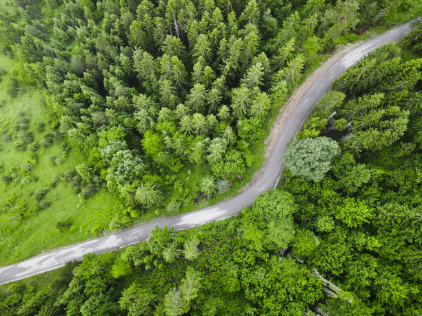 鸟瞰公路运行通过美丽的绿色松林图片下载