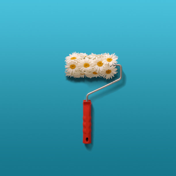 甘菊和漆辊在蓝色背景上的创意构图。图片下载