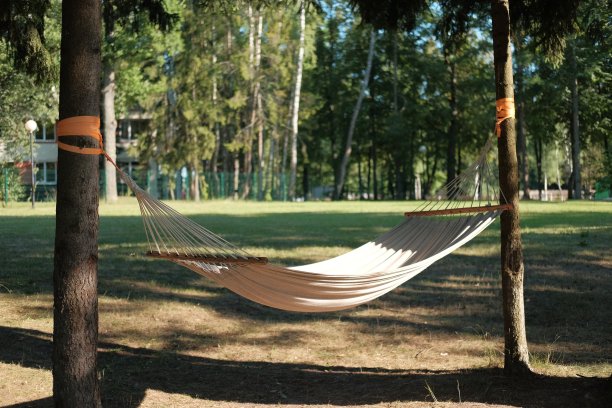 在夏日阳光明媚的美丽森林里，吊床悬挂在树间。图片下载