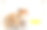一只叙利亚仓鼠向笼子外张望。特写镜头,自然光线图片下载
