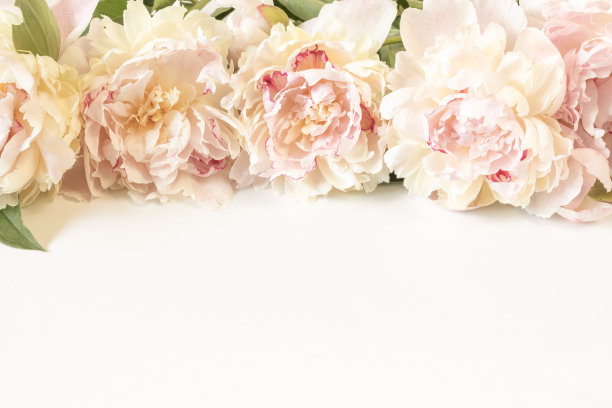 一束淡褐色的牡丹花，背景纸较轻，并留有文字空间。以婚礼、情人节、爱情宣言为主题的贺卡设计形象图片下载