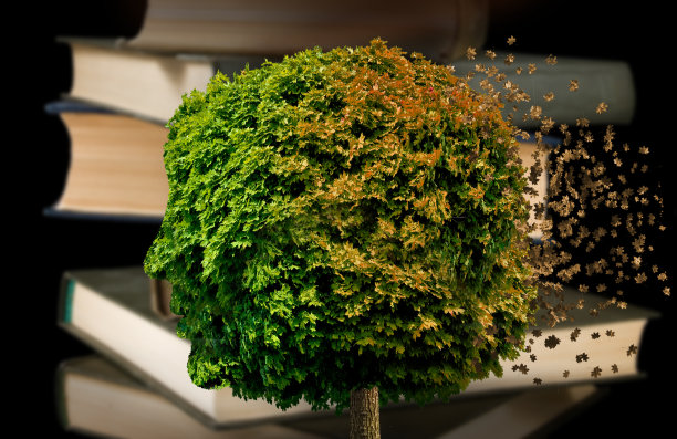 一种看起来像人头的树的抽象图像图片下载