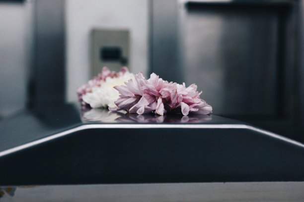 花的悲伤图片下载