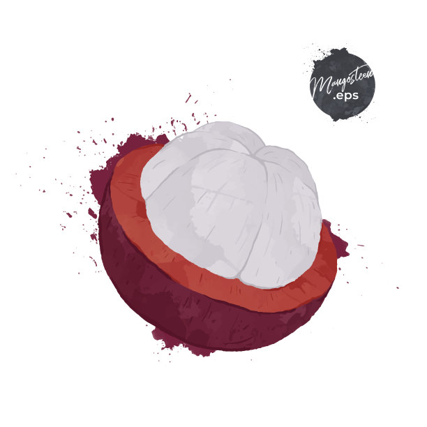 山竹果具片孤立在白色背图片下载