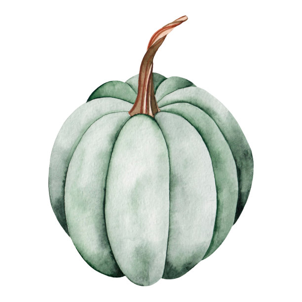 水彩画绿色南瓜孤立的白色背景。秋天的收获。万圣节。农业产品。感恩节。图片下载