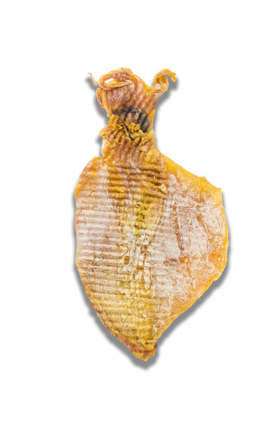 鱿鱼干。图片下载