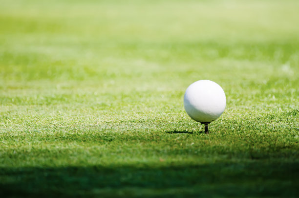 草地上的高尔夫球图片下载