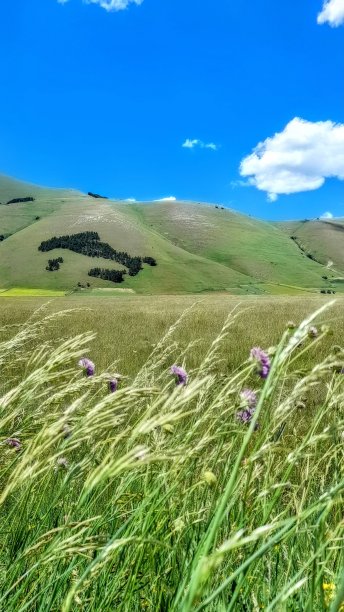 意大利图片下载