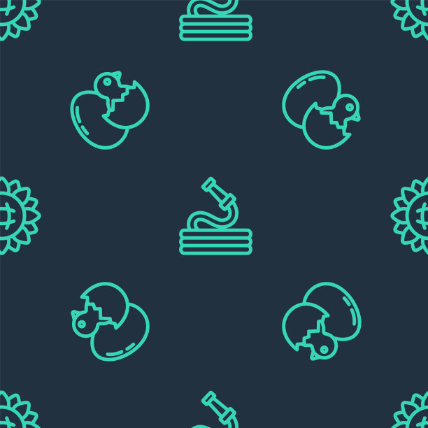 设线花园软管小鸡在破蛋图片下载