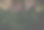 深色的花背景由不同的干花和棕榈叶制成图片下载