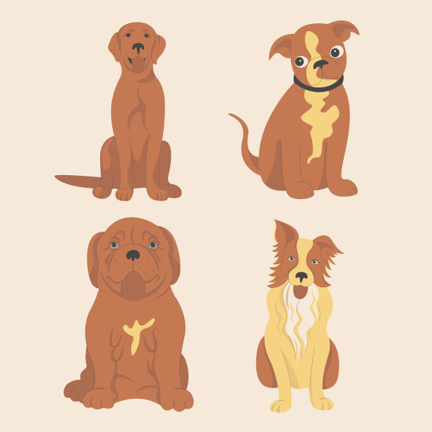 收集4个孤立的矢量图像不同的狗在一个光明的背景。图片下载